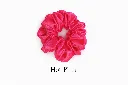 hot pink satin scrunchies.webp